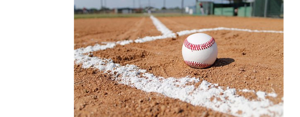 Baseball Field Cleanup - March 18th